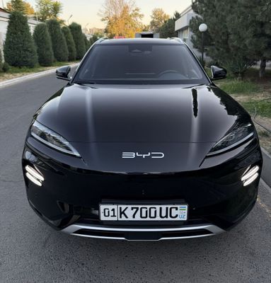 BYD Champion Ev Honor 605 km