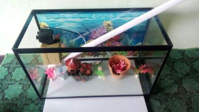 Akvarium sotiladi