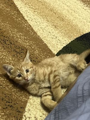 Мальчики в ответственные руки