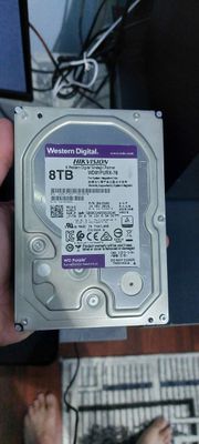 HDD HARD 8TB vint 1