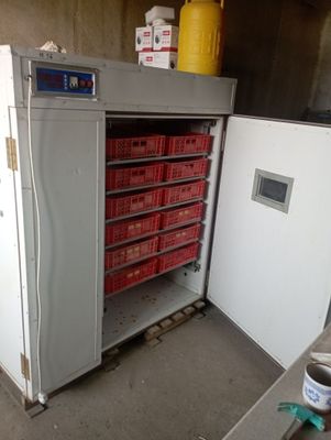 Продается инкубатор автомат в идеальном состоянии