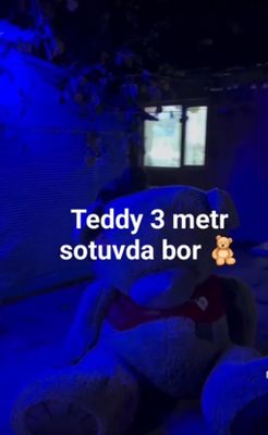 Tedy ayiq akuratniy yangi sotopman srochna