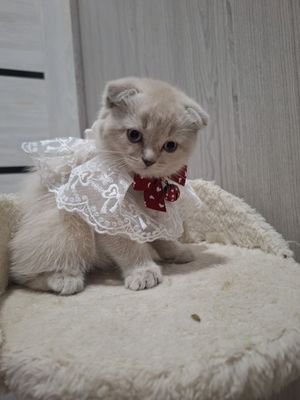 Чудо малышка с особенным характером