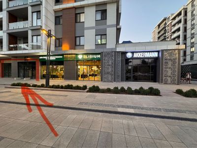 Аренда Tashkent City Коммерческое 1 линия от парка Фасад 10 метр, 155м