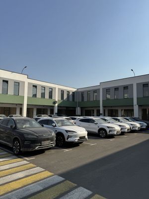 Bvd chempion smart