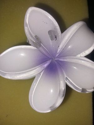 крабик