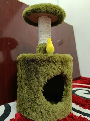 Домик для котят для кошек