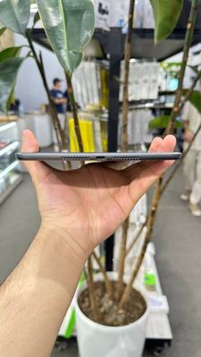 ipad mini 5 64 wi fi