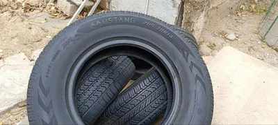 Шины Mustang ch01
