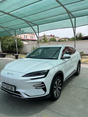 Byd champion elektromobil 605 talik