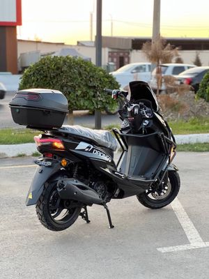 Drongo Tiger pro max