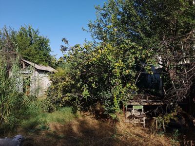 dacha sotiladi nazarbek tarnovda 6 sotik