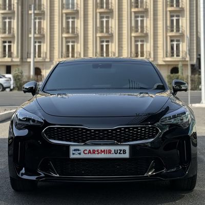 Kia Stinger Gt +navarot