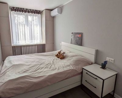 Аренда, 2х комнатная квартира, Голубые купола, метро Космонавтов