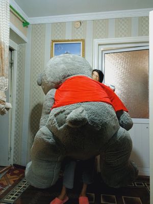 Teddy ayiq 1.80 sm