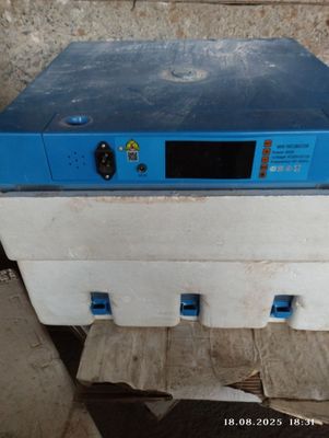 Inkubator 128 talik I broder