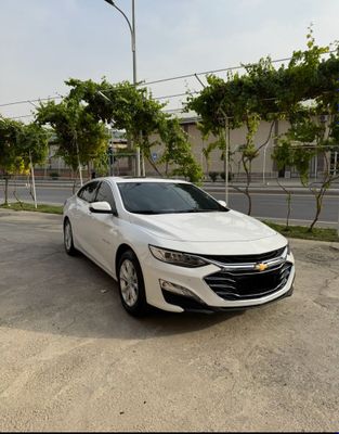 Malibu Pirimer 2020