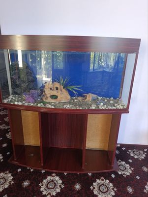 Akvarium arzon narxda sotiladi