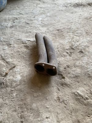 Jugili pauk jugili matorga tushadi