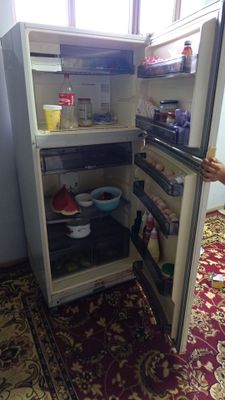 Холодильник корреский большой