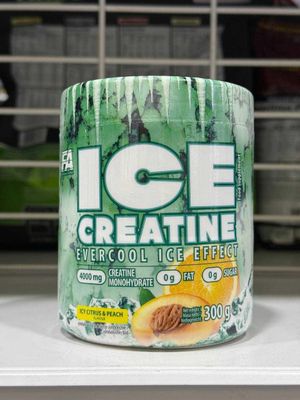 FA ICE creatine 300G