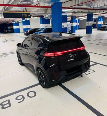 BYD Seagull 2024.