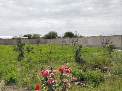 Hovli 6 sotiq sotiladi