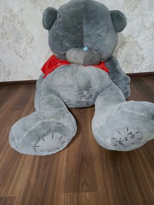 Teddy bear