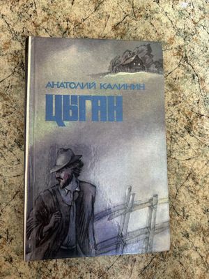 Книга Анатолия Калинина
