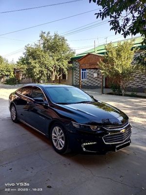 Малбу .2.4 атмасферни родной 100.