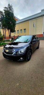 Cobalt midnight 2025