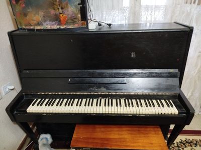 Belarus Piyanina