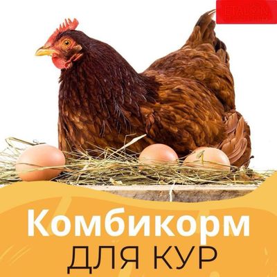 Комбикорм для несушек (Тухум) 3800сум с НДС. мин 10тонна