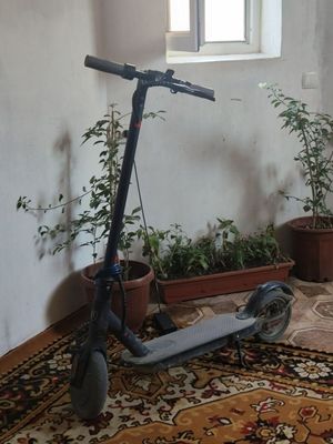 Самакат 1год гарантия