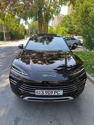 BYD champion gibrid