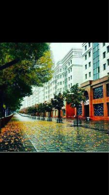 Toshkent Sitiy Arenda