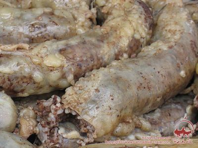 Xasip kalapocha tayorlash xizmati
