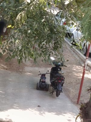 Skuter iliktra sotiladi.barteram bor ephone 14 ga