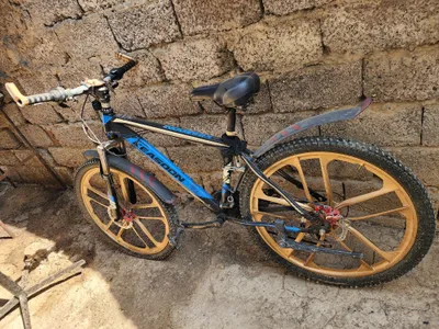 Velosapet model Sport KEASDON Blue