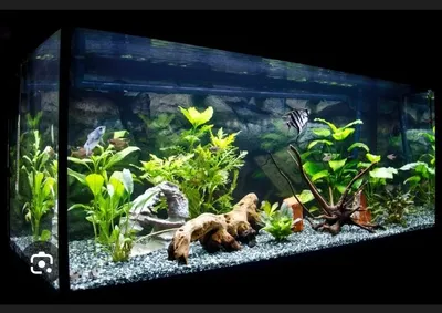 акварим ясаш ремонт хизмати.