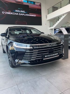 Byd Chazor 2025 masla