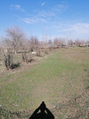 yer sotiladi nurobod tuman boshquduq qishlogi