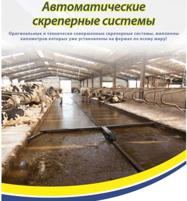 Скреперная система Dairymaster