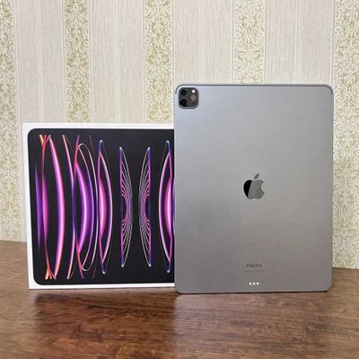 iPAD PRO 12.9 M1 Space Gray 512 GB ideal WIFI 2023 !