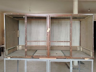 Tovuq katak qafas