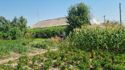 Продаётся дом с участком в уртачирчикском районе, не далеко от центра.