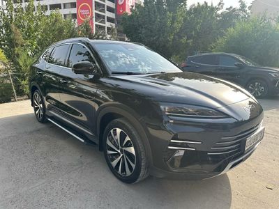 Byd champion gybrit