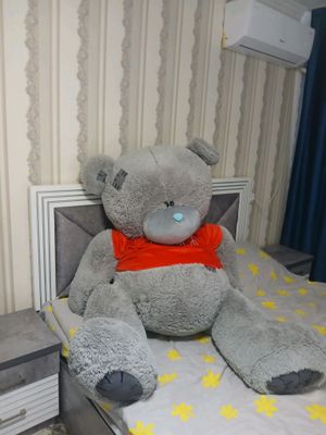 teddy ayiqcha