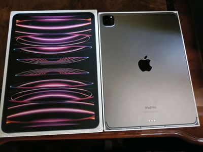 iPad Pro 11 M2 • 256GB + SIM • Отличное состояние