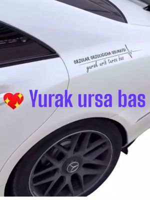 Yurak ursa bas 1 dona oq va qora rangda